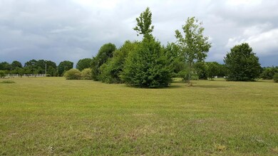 102 Jog Rd, Sylvester, GA 31791 - photo 4