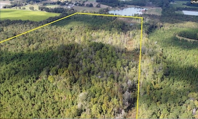 1308 Firetower Rd, Springfield, SC 29146 - photo 3