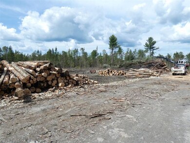 0 Willoughby Lake Rd, Barton, VT 05822 - photo 6