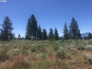 0 Mark Ct unit 31 22048662, Chiloquin, OR 97624 - photo 4