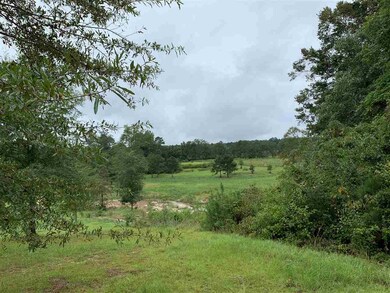 Creek bed
