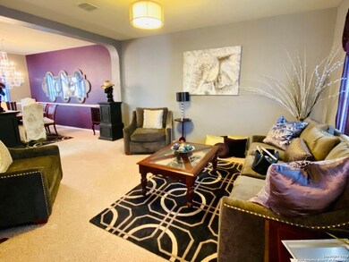 11014 Shetland Hills, San Antonio, TX 78254 - photo 5