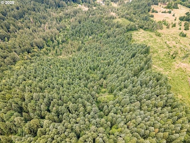 0 Rat Creek Rd unit 123052102, Cottage Grove, OR 97424 - photo 7