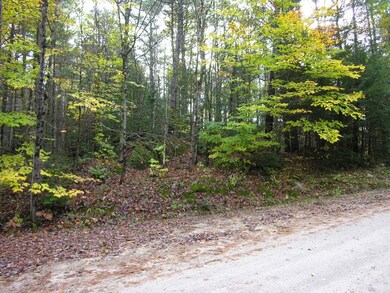 0 Ridge Rd unit 4516520, Newbury, NH 03255 - photo 6