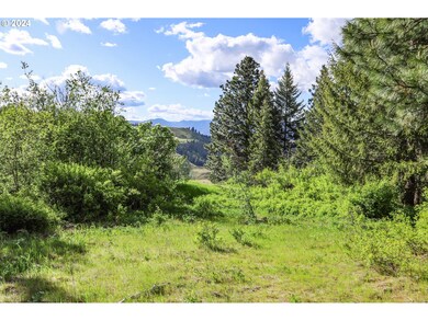 0 Highway 3 St unit 23058297, Enterprise, OR 97828 - photo 5