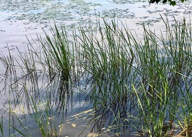 Lot 8 Basin, Tuftonboro, NH 03853 - photo 5