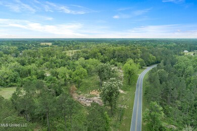 0 24 95 + - Ac Basin Central Rd, Lucedale, MS 39452 - photo 7