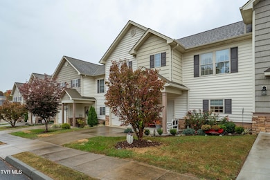 281 Baileigh Lyn Loop unit A-3, Jonesborough, TN 37659 - photo 3