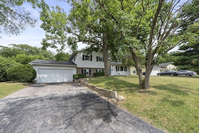 19-web-or-mls-DSC02800