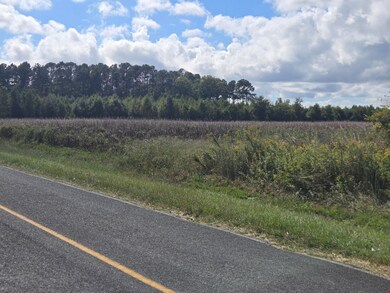 0 Blewer, Cope, SC 29038 - photo 7