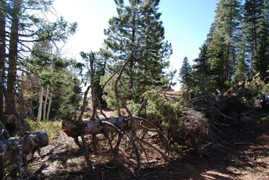 130 S Solitude Trail, Duck Creek Village, UT 84762 - photo 5