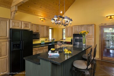 2373 Upper Cattle Creek Rd, El Jebel, CO 81623 - photo 4