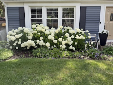 unlisted-address, Naperville, IL 60565 - photo 2