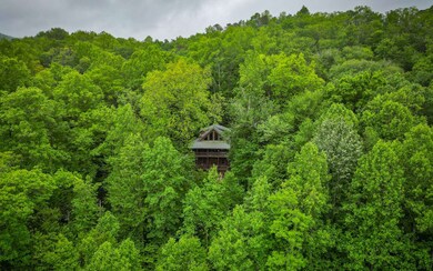 Additional View