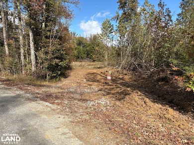 1200 Sand Ridge Rd, Lexington, TN 38351 - photo 2