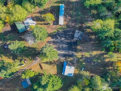 17328 Mulqueen Rd SE, Rainier, WA 98576 - photo 6