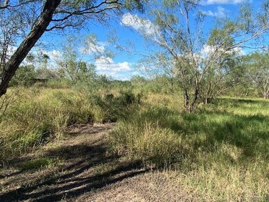 4618 N Mile 3 1 2 W, Weslaco, TX 78599 - photo 7