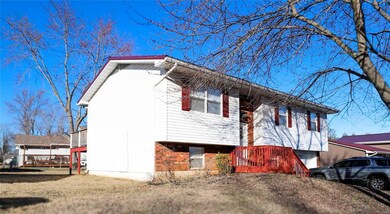 19 Mileva Ct, Farmington, MO 63640 - photo 3