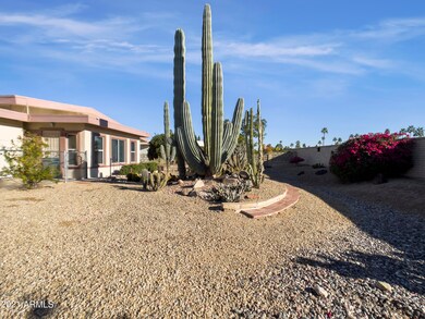 10713 W Wheatridge Dr, Sun City, AZ 85373 - photo 7