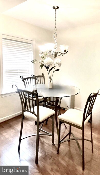 3330 Spring Ln unit D10, Baileys Crossroads, VA 22041 - photo 5