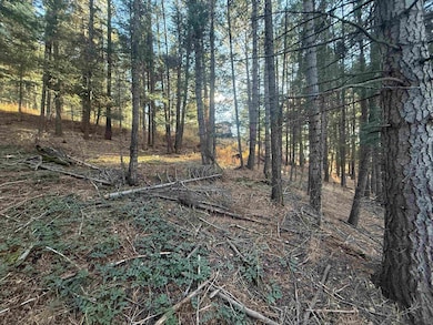 Lot 72 Mammoth Mountain Rd, Angel Fire, NM 87710 - photo 2
