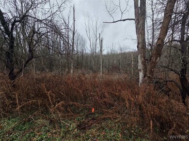 0 Beech Tree Rd unit B1653186, Ashford, NY 14141 - photo 7