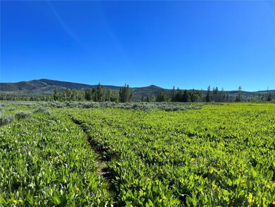 Surrounding area, not actual land on Lot 204