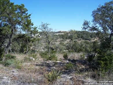 8819 Terra Cliff, San Antonio, TX 78255 - photo 3