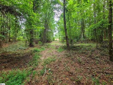 0 Dunklin Bridge Rd unit 1540341, Fountain Inn, SC 29644 - photo 5