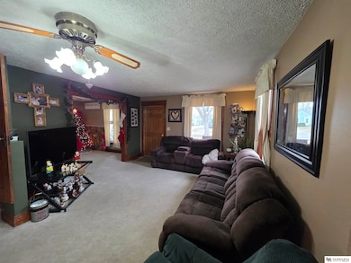 1175 N Locust St, Wahoo, NE 68066 - photo 5