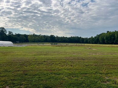 830 Colbert Bridge Rd, Windsor, SC 29856 - photo 7