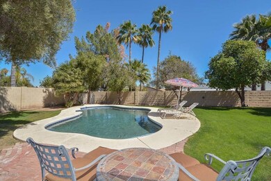 Pool-Backyard
