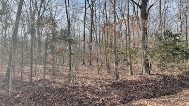 000 E 400th Rd, Bolivar, MO 65613 - photo 4