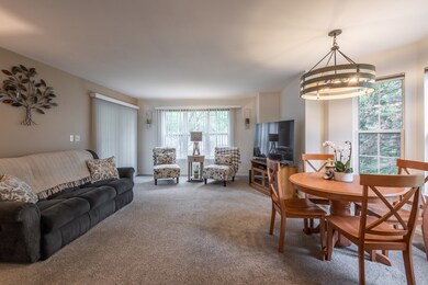 1650 Grove Ave unit A, Schaumburg, IL 60193 - photo 6