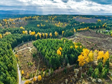 1510 364th St E, Roy, WA 98580 - photo 5