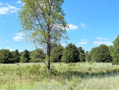 1200 Ross Ln, Springtown, TX 76082 - photo 3