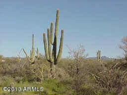 164XX E Lone Mountain Rd unit 1, Scottsdale, AZ 85262 - photo 3