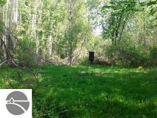 N/A Tonkey Rd, Turner, MI 48765 - photo 7