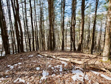 202 River Rd, Lyme, NH 03769 - photo 7