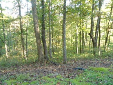 111 Wesley Chapel Rd, Somerset, KY 42501 - photo 6