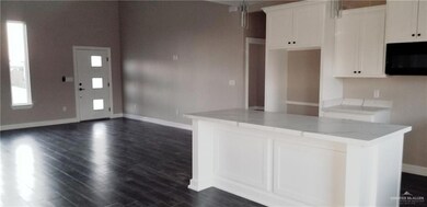 810 Blue Quail St, Alamo, TX 78516 - photo 3