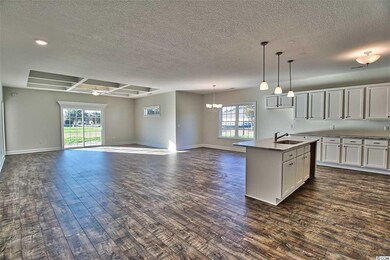 769 Hobonny Loop unit Lot 57, Whitehall, Longs, SC 29568 - photo 2