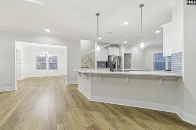 13 Elk Run Ct, Chapin, SC 29036 - photo 6