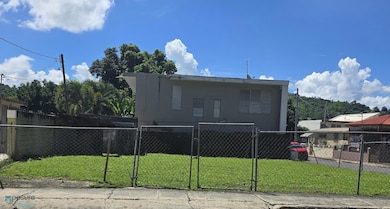 253 Bo Balboa Calle Belisarion unit 253, Mayaguez, PR 00680 - photo 5