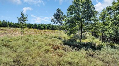 View of nature featuring rural landscape