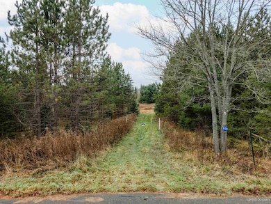 200 Olson Loop, Iron River Township, MI 49935 - photo 2