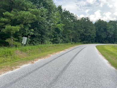 0 Carolette Ct unit 25018651, Walterboro, SC 29488 - photo 5