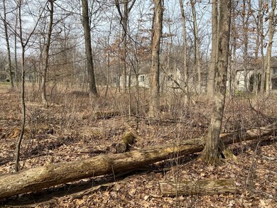 1108 Oakview Ln, Genoa, IL 60135 - photo 6