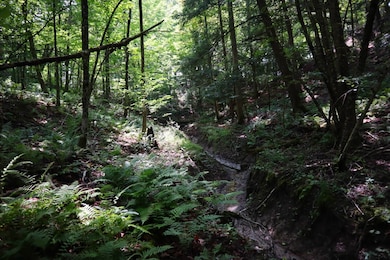 0 Anthony Rd, Fort Edward, NY 12828 - photo 6