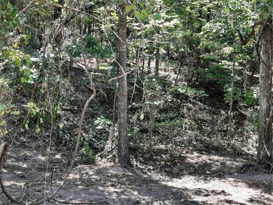 Lot 7 and 8 Harris Rd, Lowell, AR 72745 - photo 3